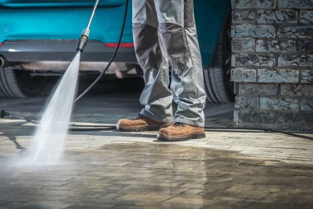 Best Roof Washing  in Baywood Park, CA